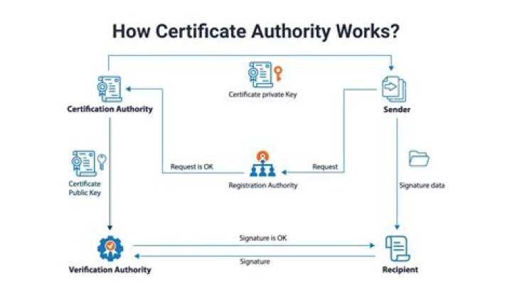 Do I need an internal certificate authority?