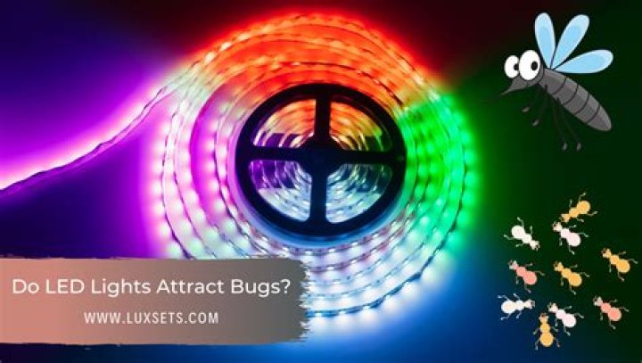 Do LED lights attract bugs?