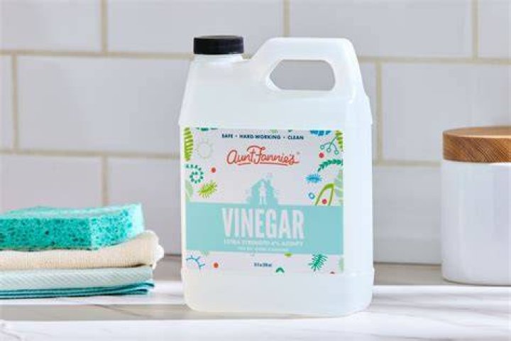 Do mice hate white vinegar?