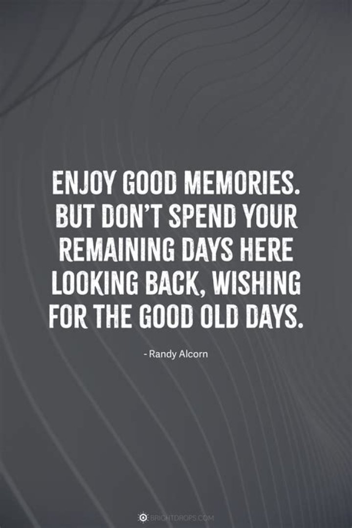 Do owls have good memories?