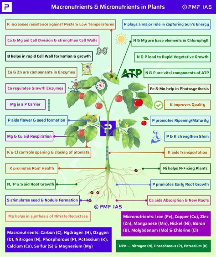 Do plants like human touch?