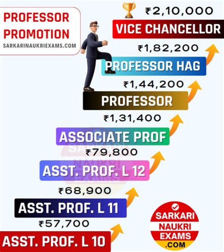 Do professors get a pension?