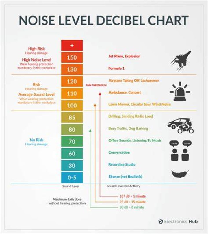 Do rats make a lot of noise at night?