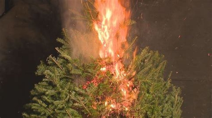 Do real Christmas trees catch fire?