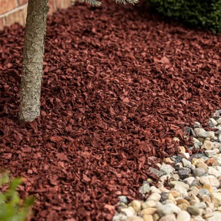 Do roses like rubber mulch?