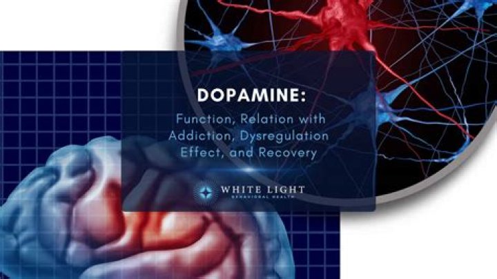 Do scary movies give you dopamine?
