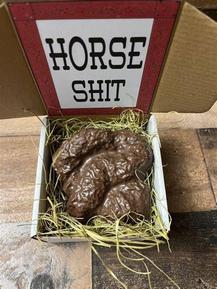 Do sea horses poop?