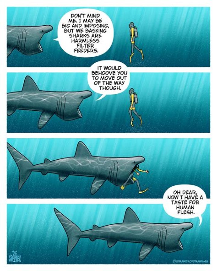 Do sharks befriend humans?