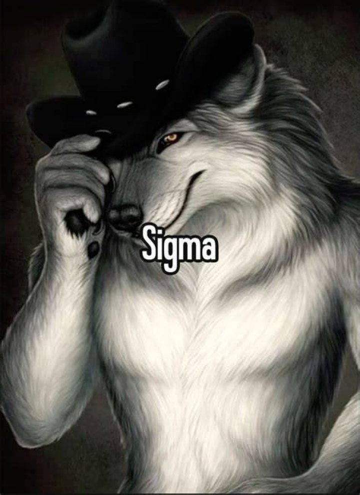 Do sigma wolves exist?
