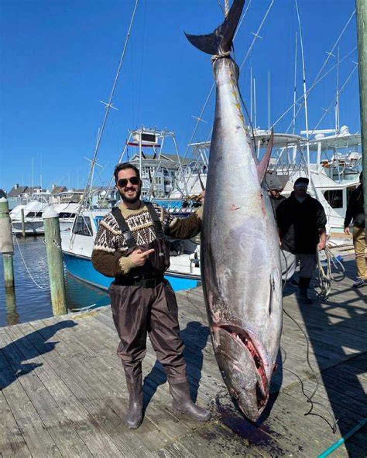 Do tuna fisherman ever hook whales?