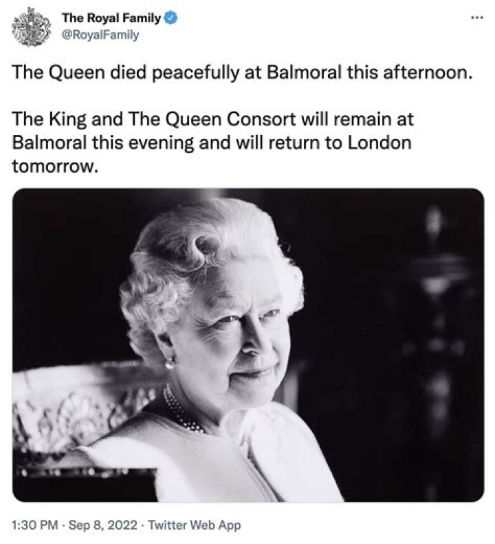 Do wasps leave when the Queen dies?