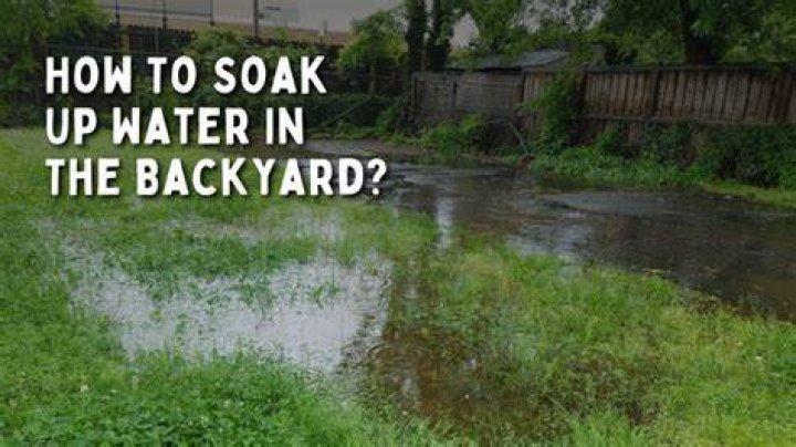 Do wood chips soak up water?