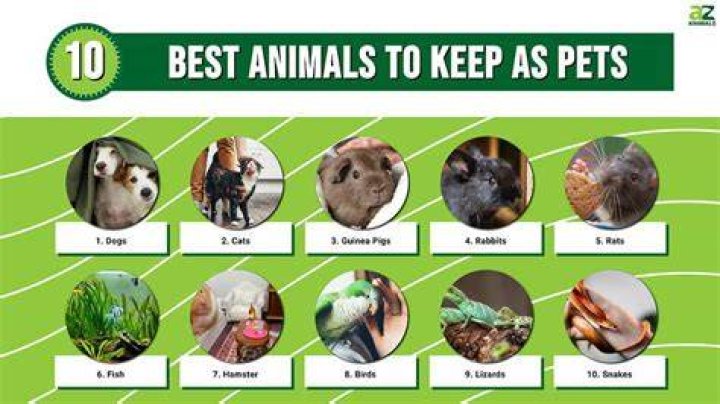 Do you need 16 pets to make a mega neon?
