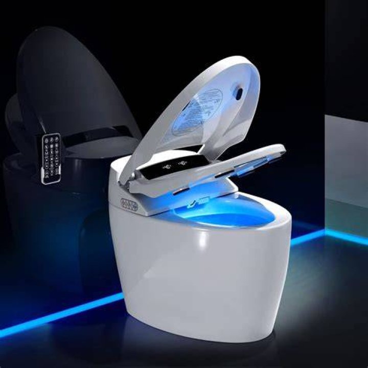 Do you poop in bidet?