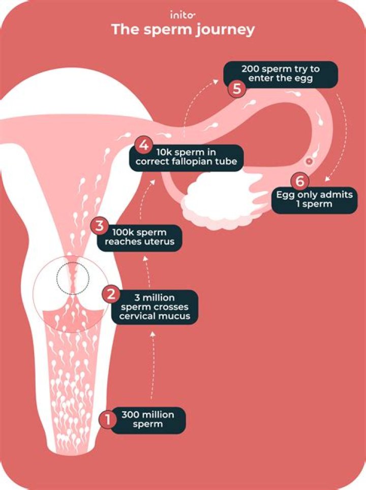 Do you see pictures of sperm donors?