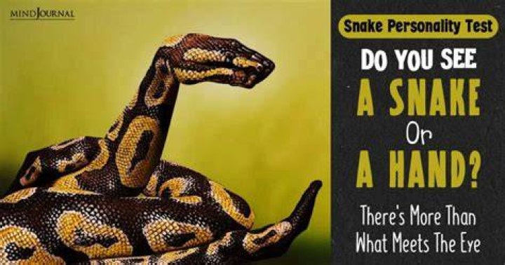 Do you stand still when you see a snake?