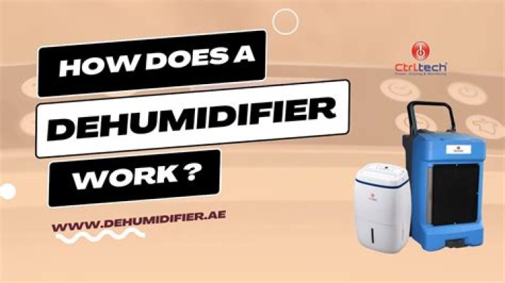 Does a dehumidifier help with mucus?