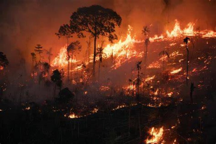 Does Amazon fire you for negative UPT?