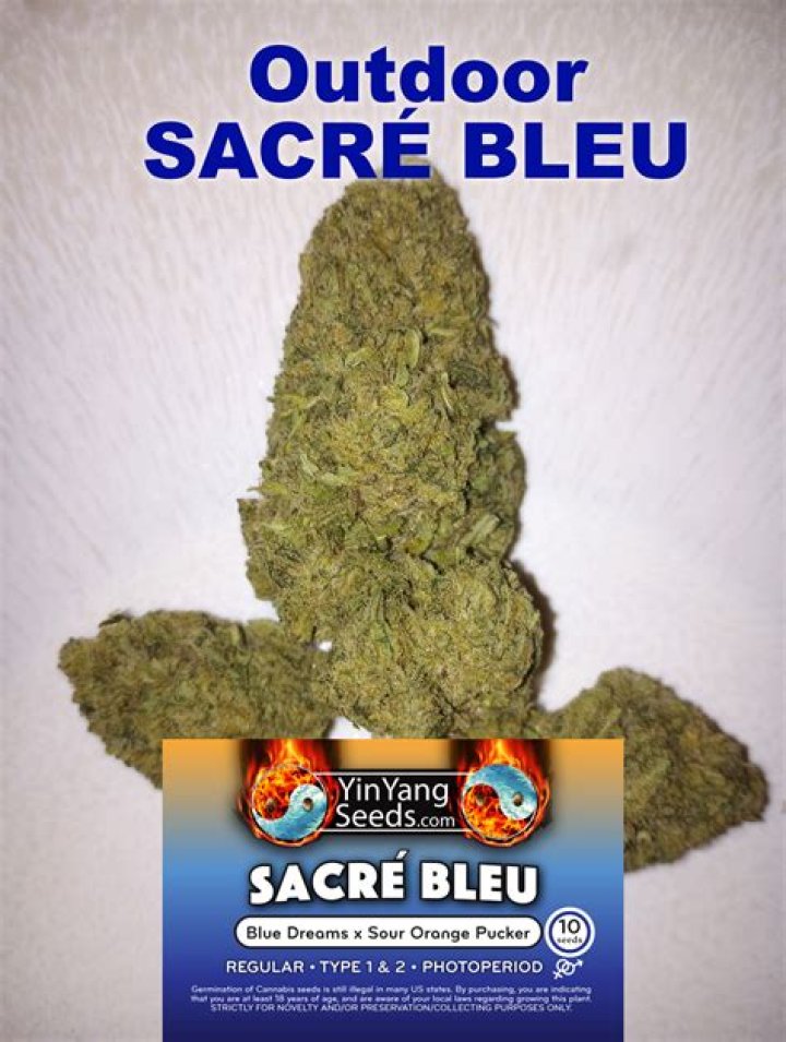 Does anyone say sacre bleu?