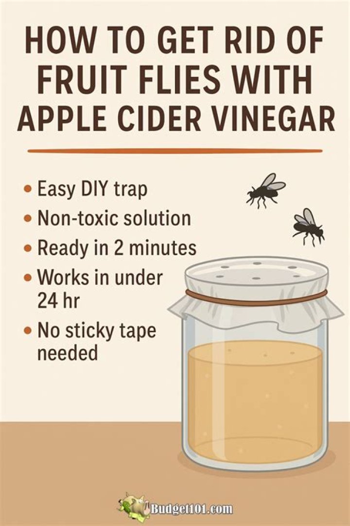 Does apple cider vinegar attract flies?