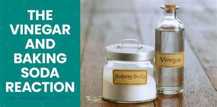 Does baking soda and vinegar remove mold?