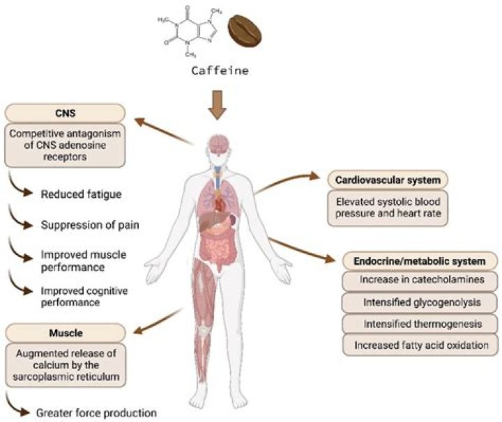 Does caffeine cause neuropathy?
