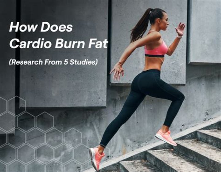 Does cardio burn face fat?