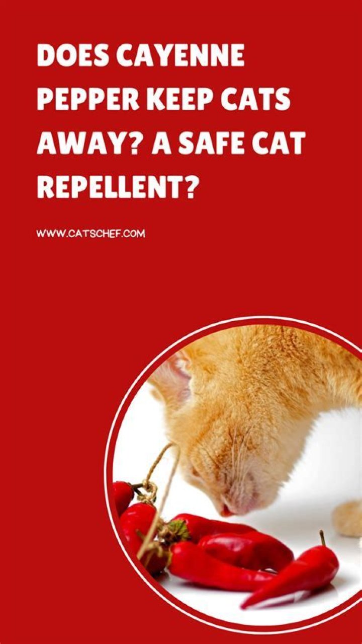 Does cayenne pepper keep rats away?