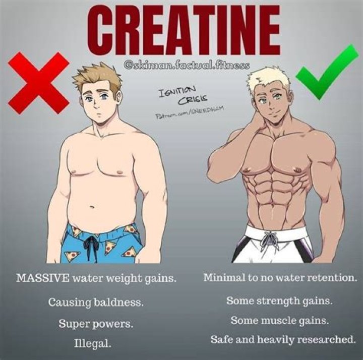 Does creatine make you fat?
