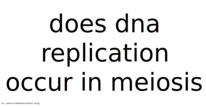Does DNA replication occur in meiosis?