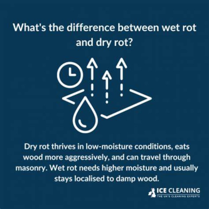 Does dry rot need to be removed?