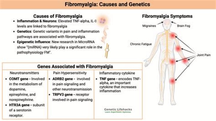 Does fibromyalgia affect the groin?