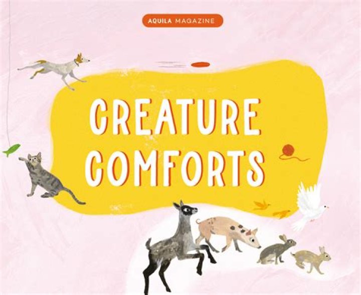 Does God comfort animals?