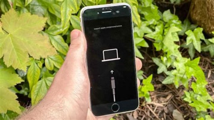 Does iPhone 8 have 4G?