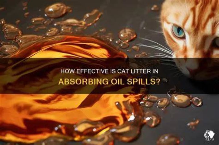 Does kitty litter absorb gasoline?