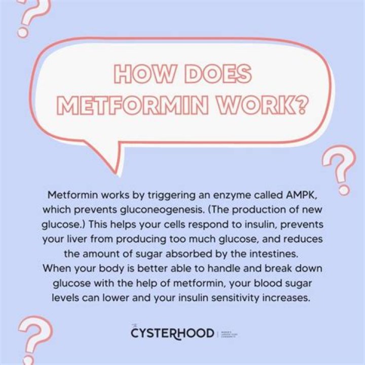 Does metformin affect your heart?
