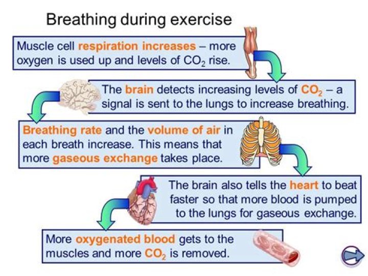 Does MS affect breathing?