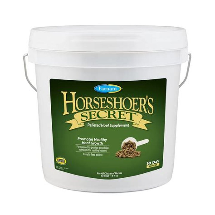 Does my horse need a hoof supplement?