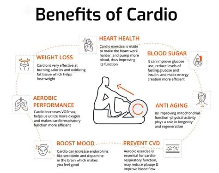 Does nandrolone affect cardio?