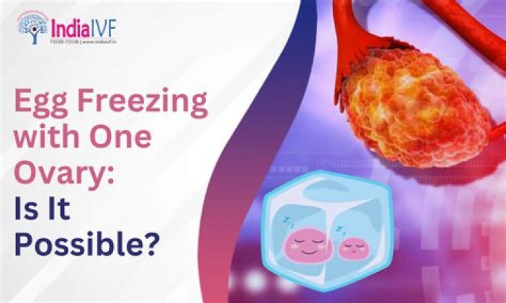 Does one ovary produce more eggs?