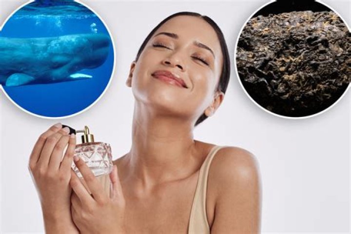 Does perfume contain whale poop?