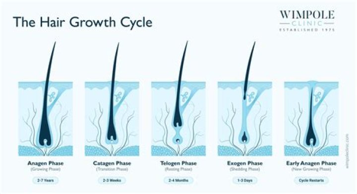 Does pre poo help hair grow?