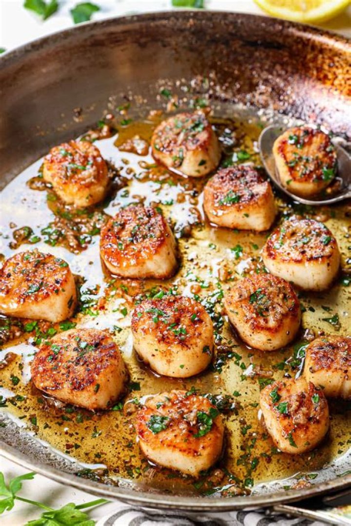 Does scallops feel pain?