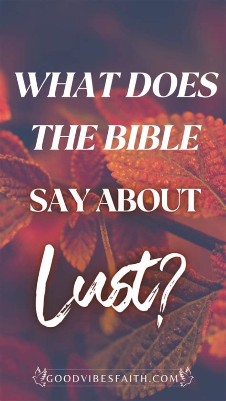 Does the Bible say not to drink too much wine?