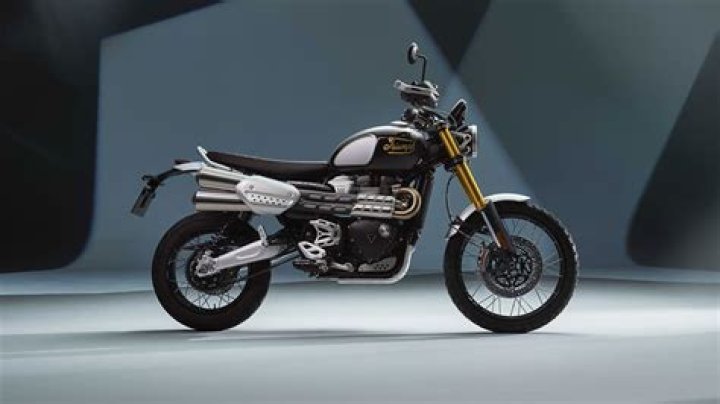Does triumph make a scrambler?