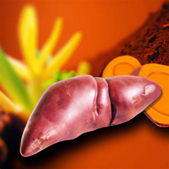 Does turmeric raise liver enzymes?