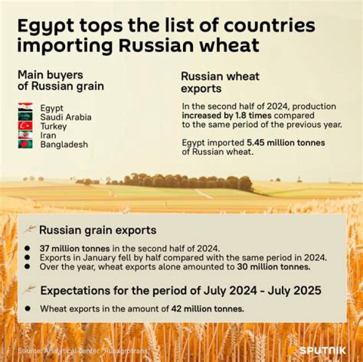 Does UK get wheat from Russia?