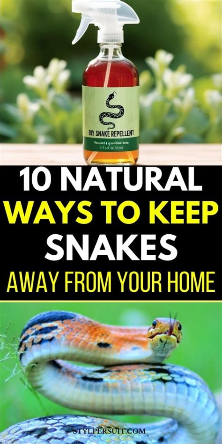 Does urine keep snakes away?