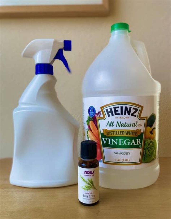 Does vinegar instantly kill ants?