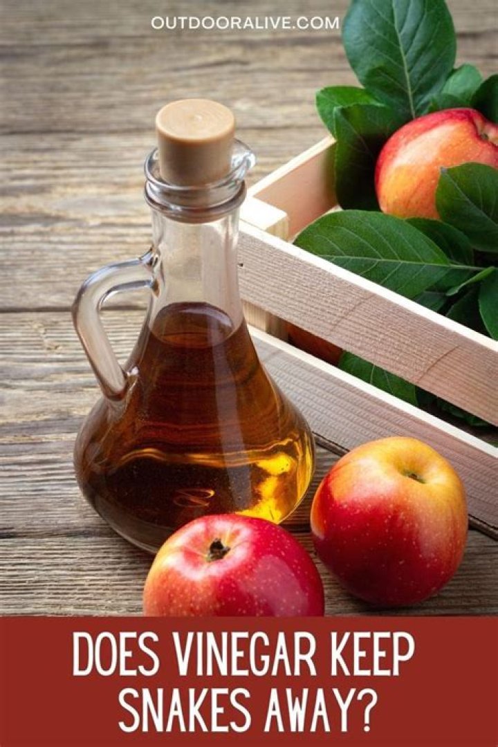 Does vinegar keep animals away?